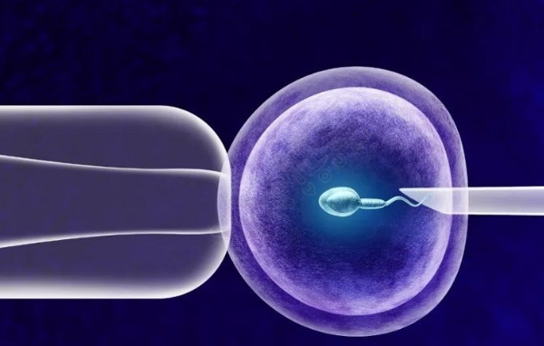 珠海三代试管婴儿