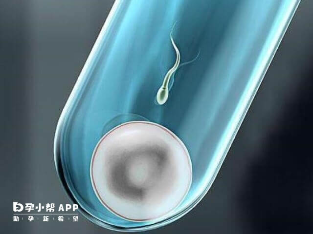 上海试管婴儿价格